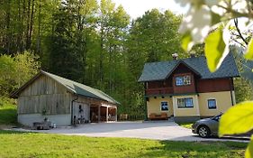 Ferienhaus Schlossblick