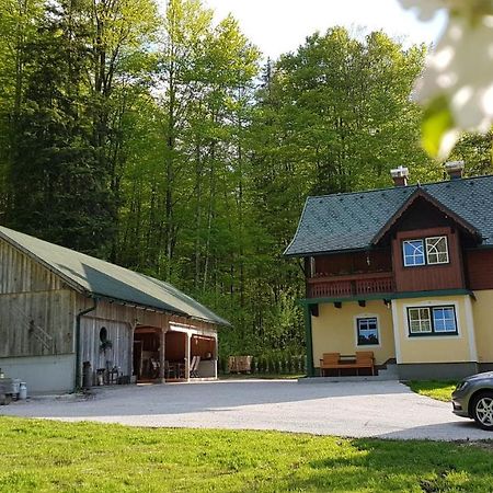 Ferienhaus Schlossblick Landl  Exterior foto